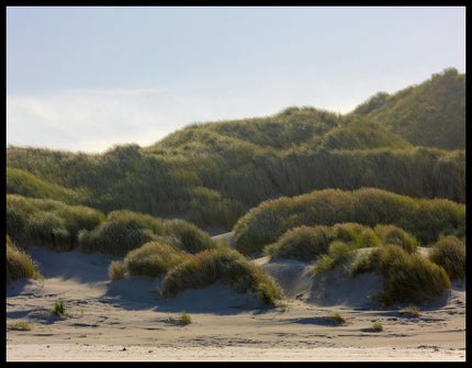 Ein Leinwandbild von Dünengras am Strand.