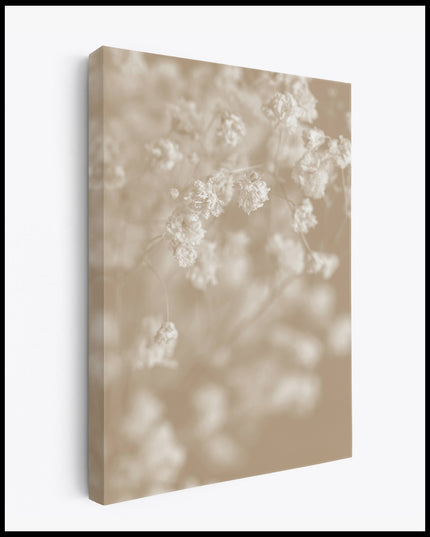 White Gypsophila Canvas