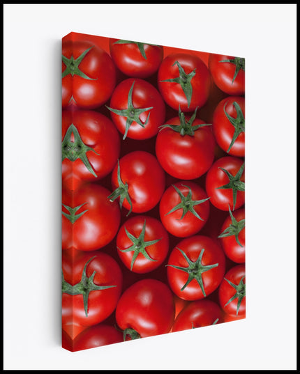 Tomaten Leinwand