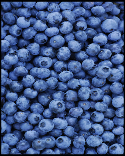 Ein Poster von einer Fülle von frischen Blaubeeren, die das gesamte Bild bedecken.