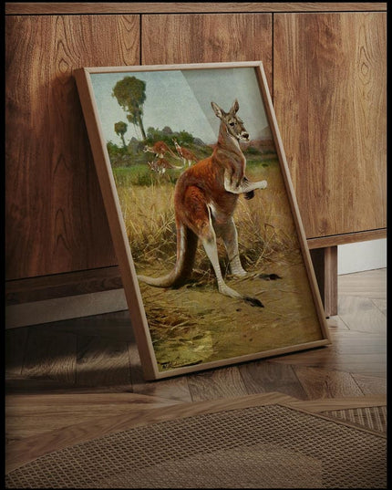 Red Kangaroo