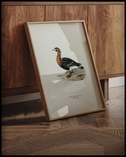 Branta Ruficollis Poster