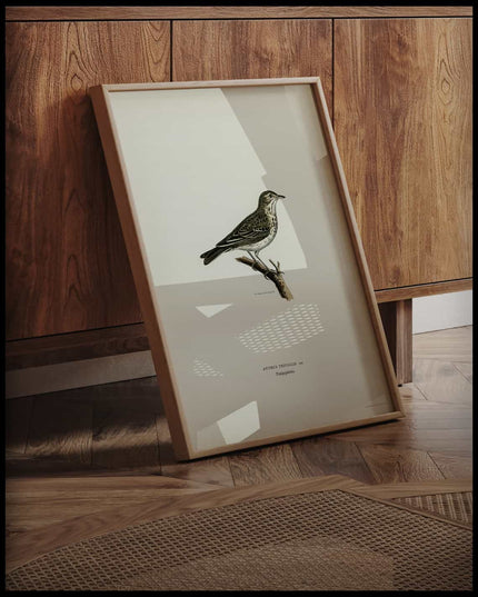 Anthus Trivialis Poster