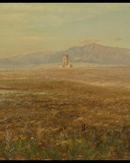 Mexican Landscape