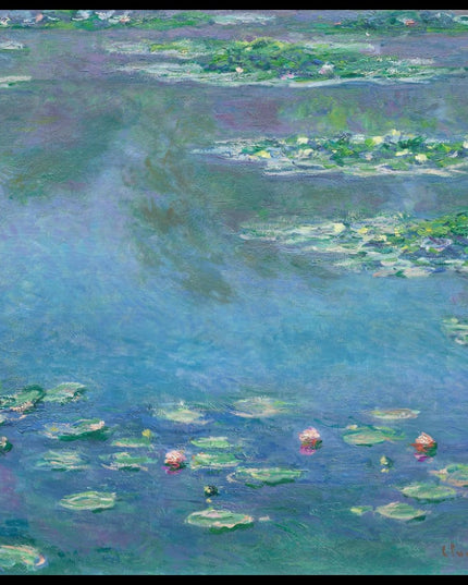 Water Lilies