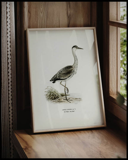 Ardea Cinerea Poster