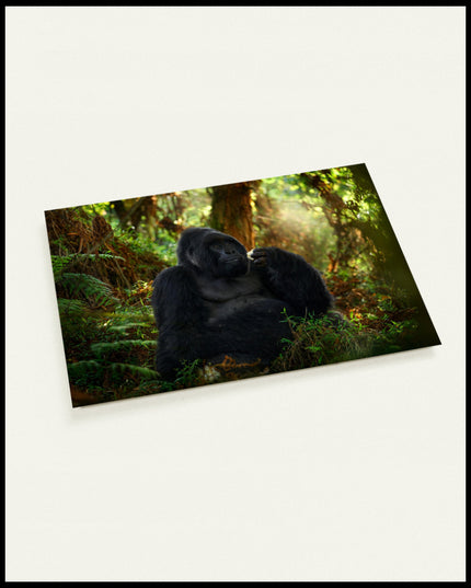 Eine Postkarte von einem Gorilla, der in einem dichten, grünen Wald sitzt.